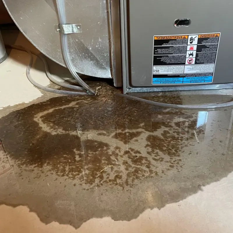 Pipe Burst and Leak Restoration in Knob Noster, MO